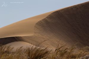 namibia sand dune.jpg